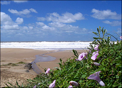 playas-uruguay.jpg